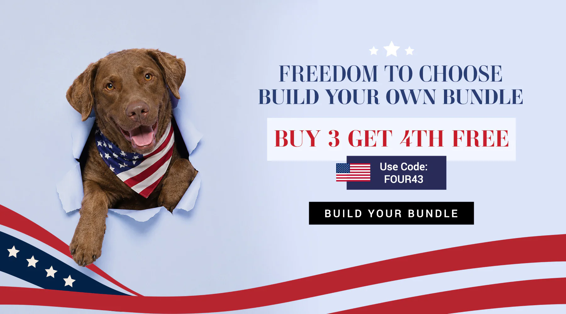 Master Your Dog's Show Look